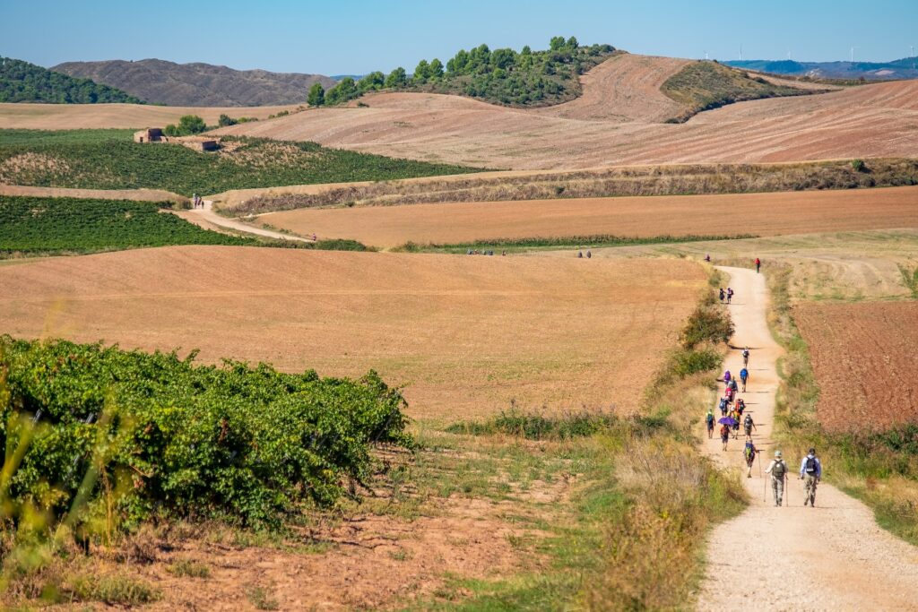 Embarking on a Transformative Journey: Walking the Camino de Santiago