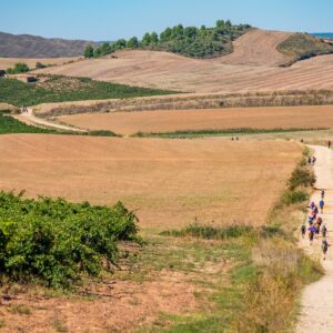 Embarking on a Transformative Journey: Walking the Camino de Santiago